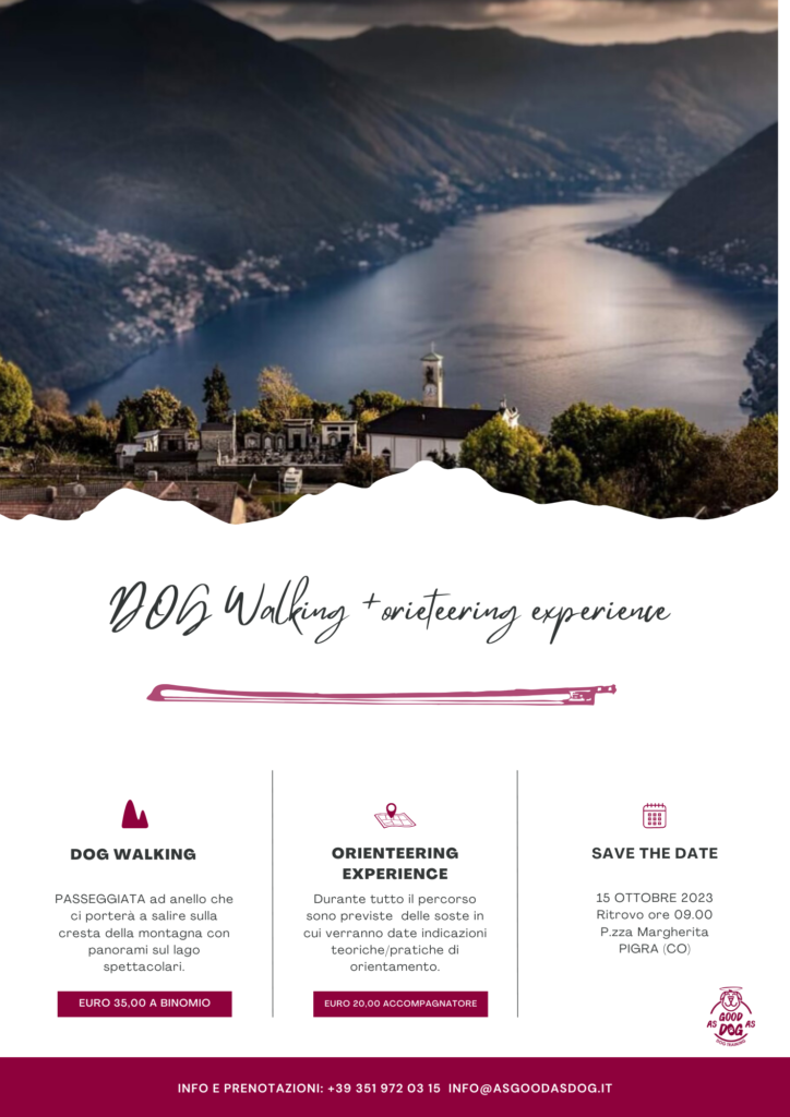 DOG WALKING & ORIENTEERING