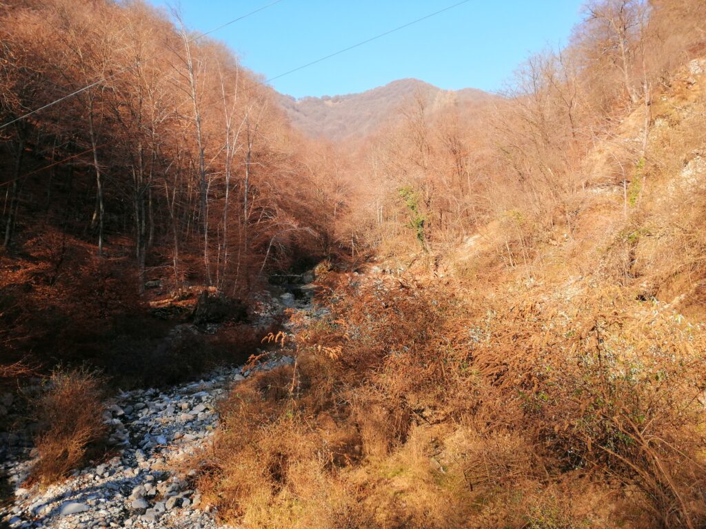 Alpe di colonno
